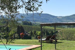 Vacation apartment in Chianti with swimming pool