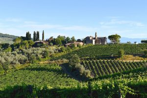 Il Santo Weinberge im Chianti