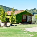 Chianti vacation apartment "La Capanna" Chianti vacation apartment "La Capanna"