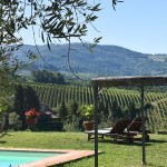 Vacation apartment in Chianti with swimming pool Vacation apartment in Chianti with swimming pool