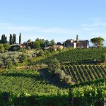 Il Santo vineyards in Chianti Il Santo vineyards in Chianti