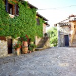 Vacation accommodations with pool in Chianti Vacation accommodations with pool in Chianti